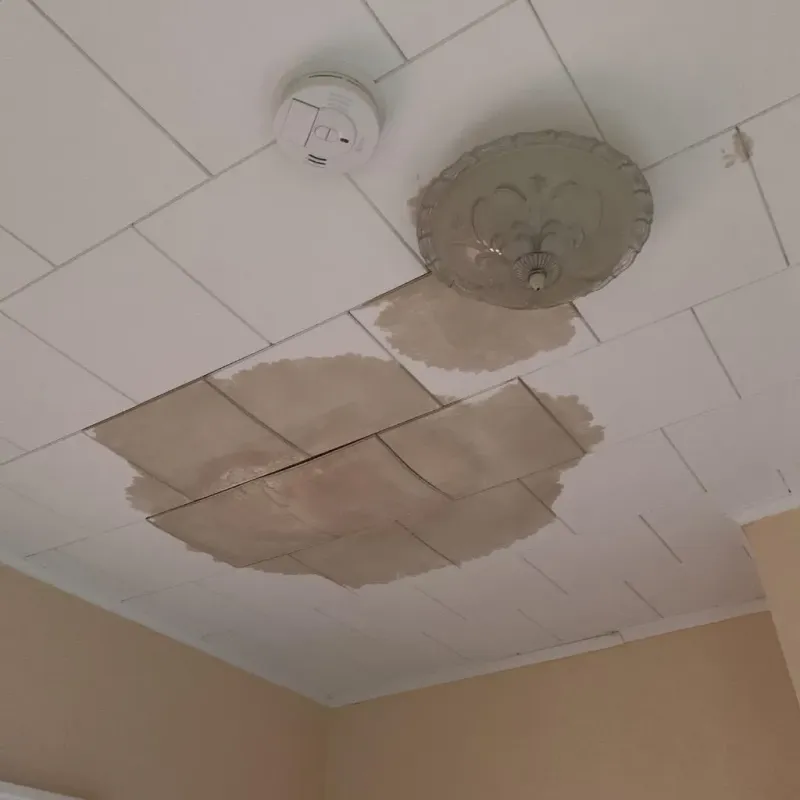 Ceiling Water Damage Repair in Independence, VA