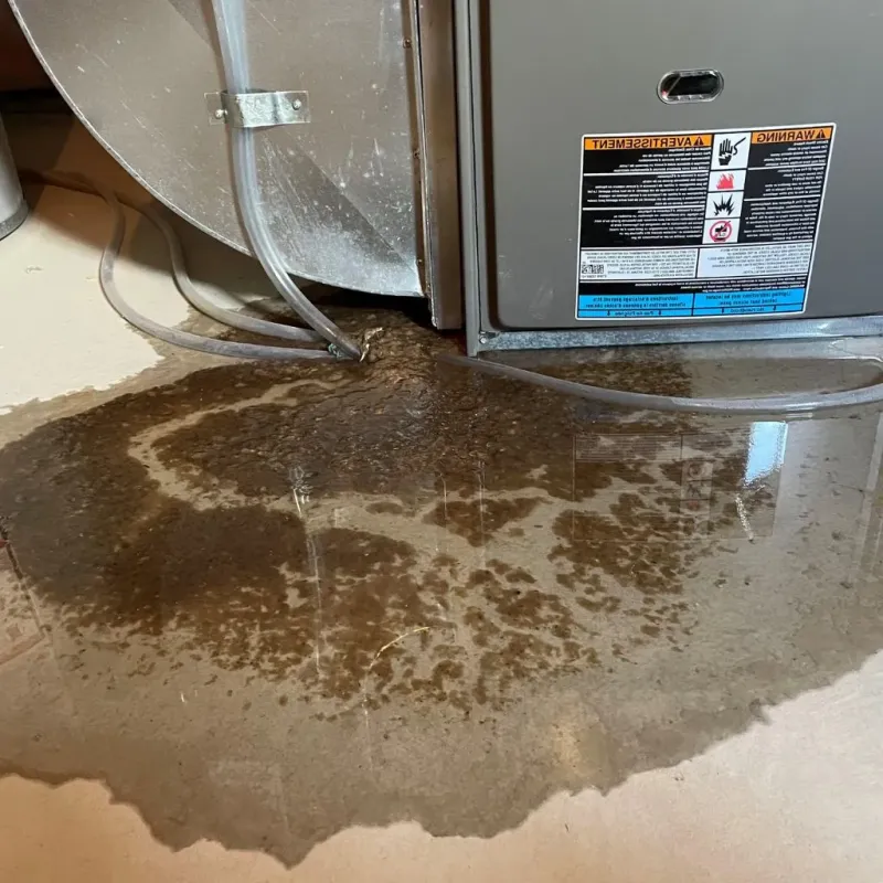 Pipe Burst and Leak Restoration in Independence, VA